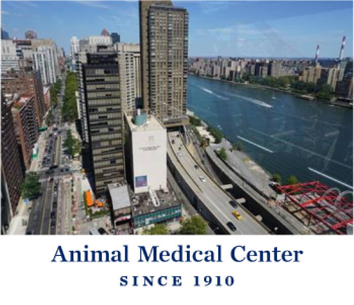 Animal Medicak Center SINCE1910